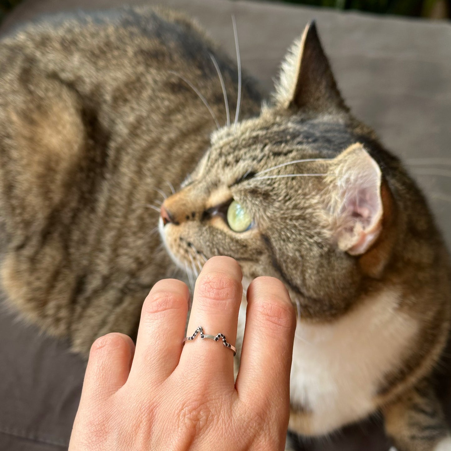 Ode to Cats Ring - Stray